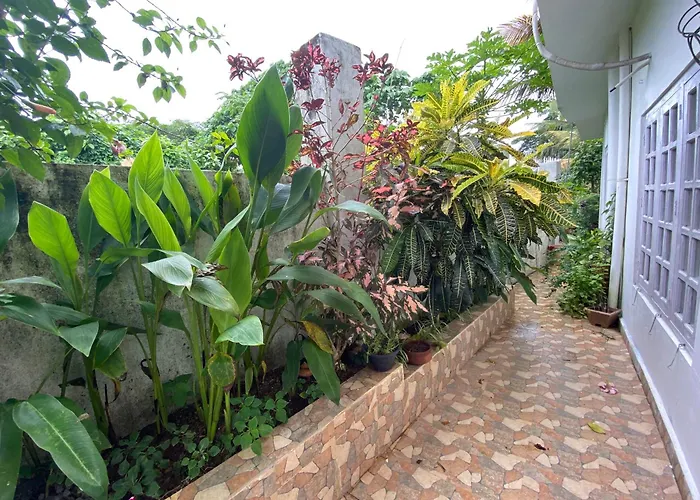 Hibiscus Home Stay & Boutique