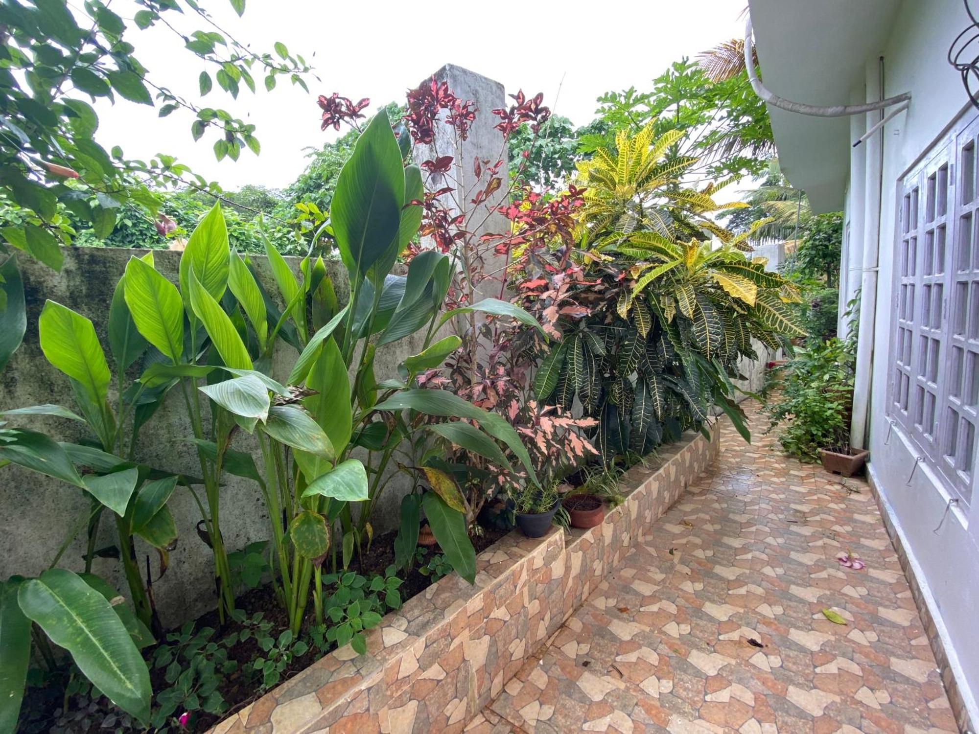 Hibiscus & Boutique Holiday home